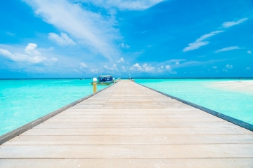 Beautiful tropical Maldives resort hotel and island with beach and sea  and coconut palm tree on sky for holiday vacation background concept - Boost up color Processing